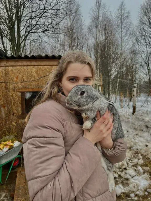 Фото Оленья ферма Бэмби лэнд - развлечение в Москве | Досугатор